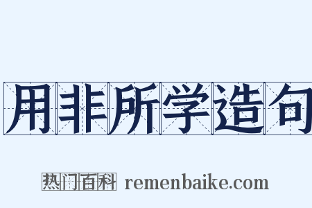 用非所学造句是什么意思的图片